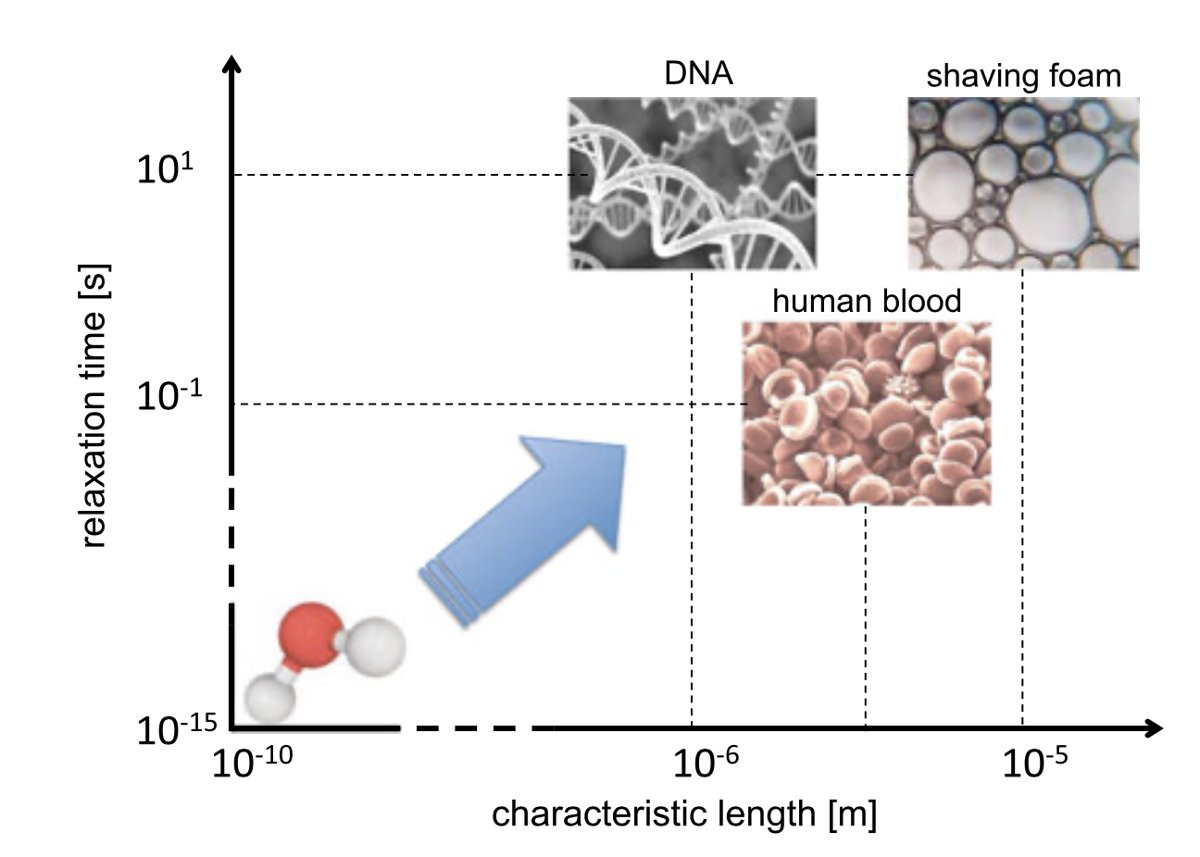 Diagram of relaxation time versus characteristic length, from a water molecule to DNA, blood and shaving foam