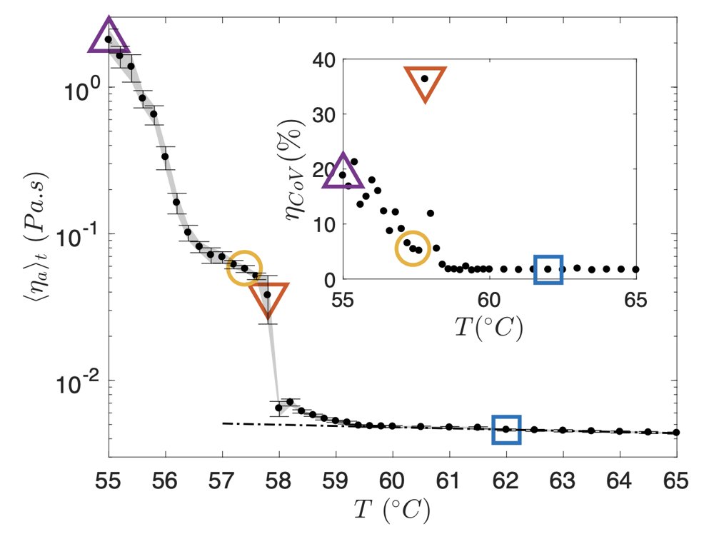 Apparent viscosity versus temperature with an inset showing the coefficient of variation