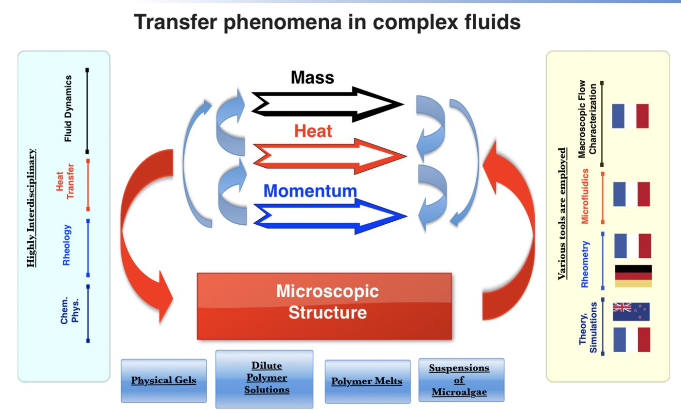 Diagram of the coupling between mass, heat and momentum transport and microscopic structure